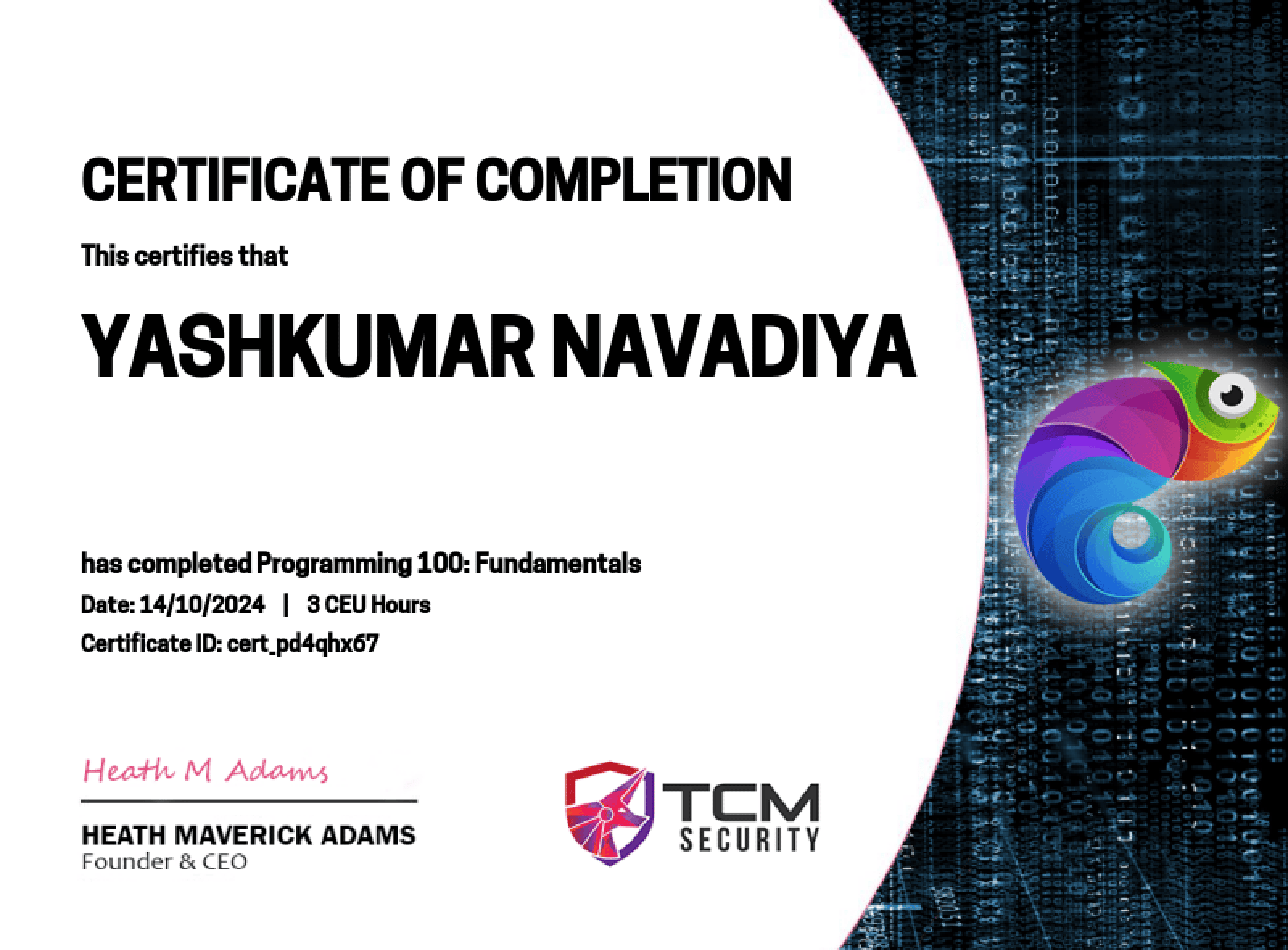 TCM - Programming 100: Fundamentals